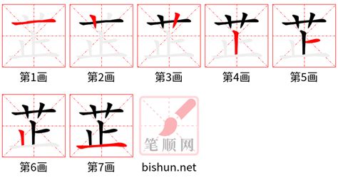 芷幾畫|芷笔画